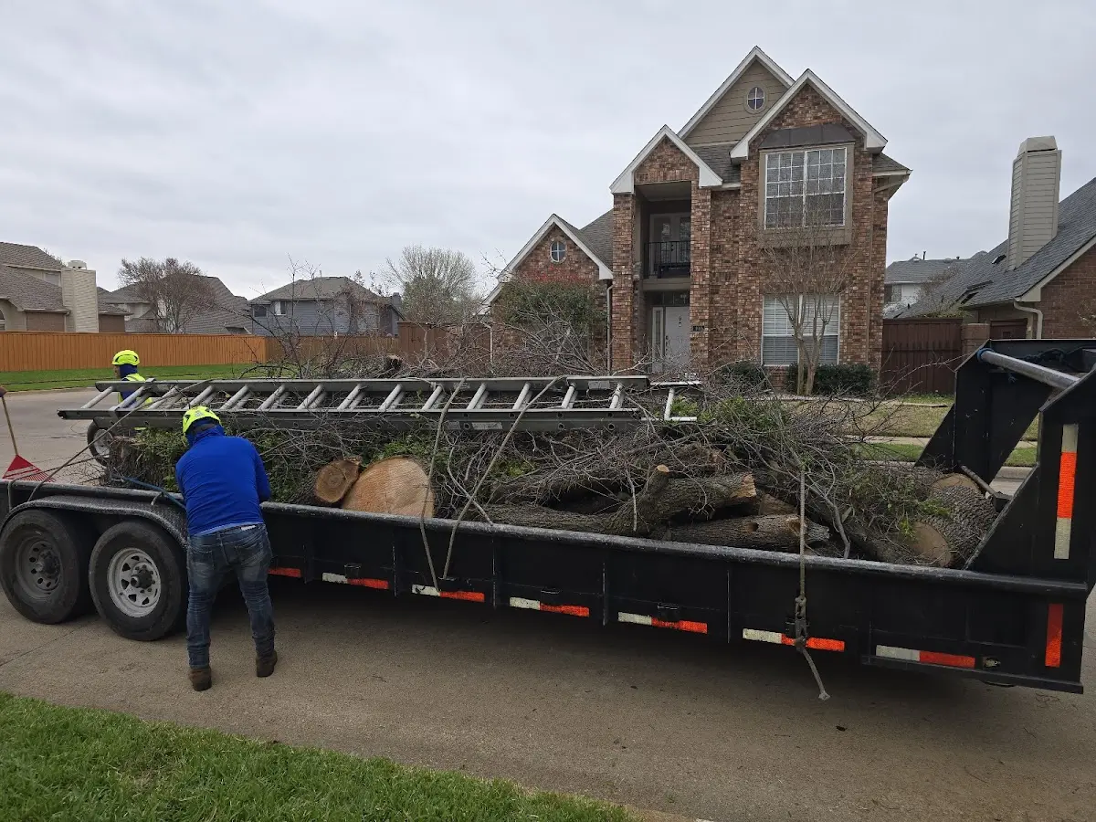 Expert Lot Clearing with proper safety equipment in Cottage Grove